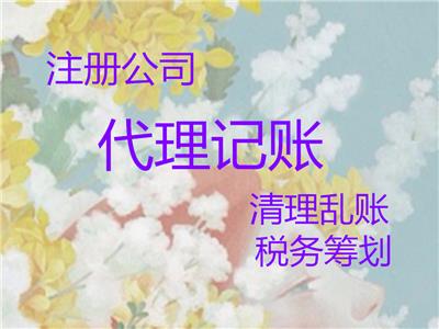 天津南开区一般人公司注册代理记账一站式服务