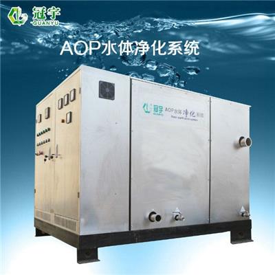 饮用水AOP水体净化设备供应商 上海AOP水体净化系统定制