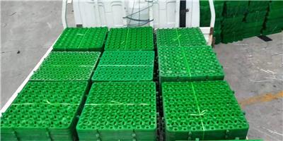 安徽排水板生产厂家 16高塑料排水板价格 绿兴黑色塑料排水板