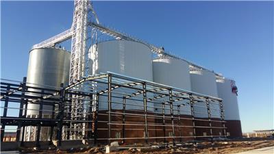 山西酿造厂用钢板仓 300T粮仓 施工周期短 投产快 粮食存储罐