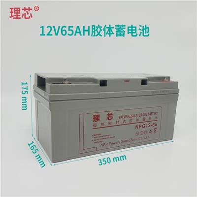 LIXIN理芯蓄电池NPG12V65AH 密封免维护型 消防EPS主机后备应急电源