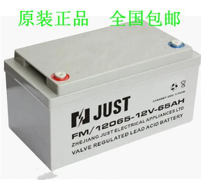 JUST杰斯特蓄电池FM/12065 铅酸免维护型 UPS直流屏应急电源