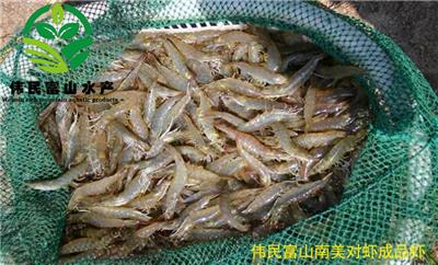 伟民富山南美白对虾淡水养殖技术有哪些？