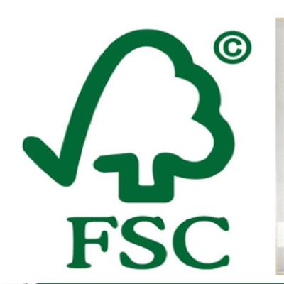湛江FSC认证森林认证COC 多久审核一次