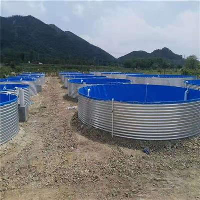 工厂化水产养殖鱼池设备 加固帆布高位池高密度养殖池