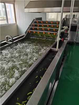 毛豆加工流水线 诚达食品机械 广州全自动毛豆加工设备材质
