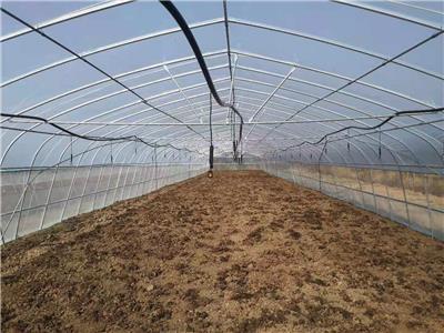 芜湖承接种植棚价格 蔬菜大棚 厂家定制