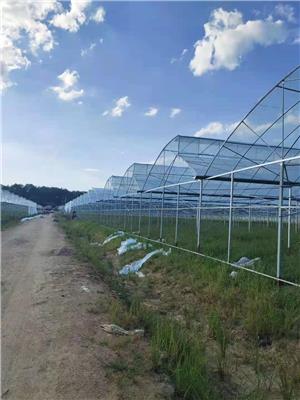 拉萨承接种植棚价格 蔬菜大棚 厂家定制