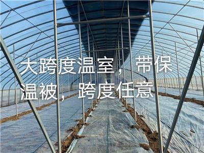 广州种植棚架 养殖大棚 全国承接