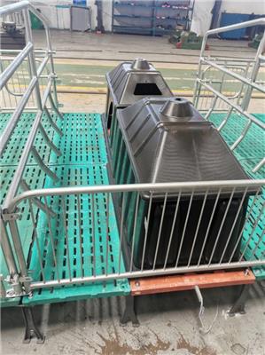 限位栏 定位栏 保育床 母猪产床 源头厂家供应