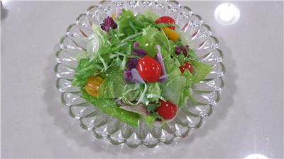 上海仿真食品模型仿真蔬菜沙拉模型