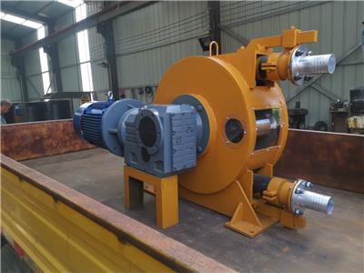 浙江工业软管泵厂家 工业软管计量泵 自吸能力强