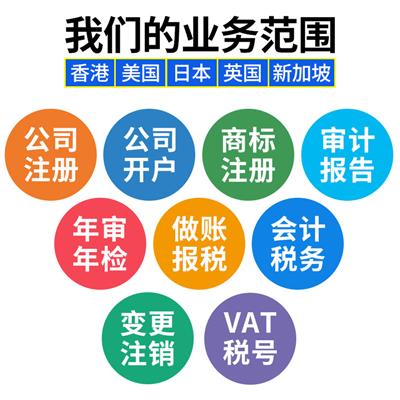 中国香港年度审计报告