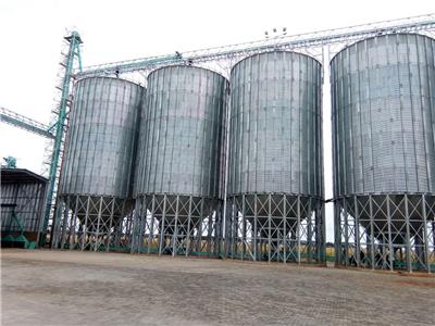 玉米加工厂常用粮食钢板仓 镀锌钢板 粮食存储罐 立筒仓 造价低