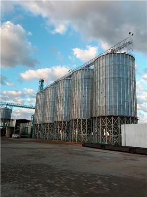 面粉厂常用粮食钢板仓小麦仓 装配式 拆装灵活 施工周期短 立筒仓