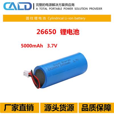 LDPH-453740P-1800-3.7加板加线数码电池报价 3.7V锂电池
