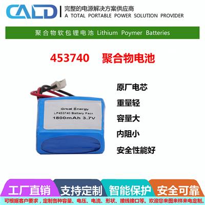 LDPH-453740P-1800-3.7加板加线数码电池价格 手电筒电池