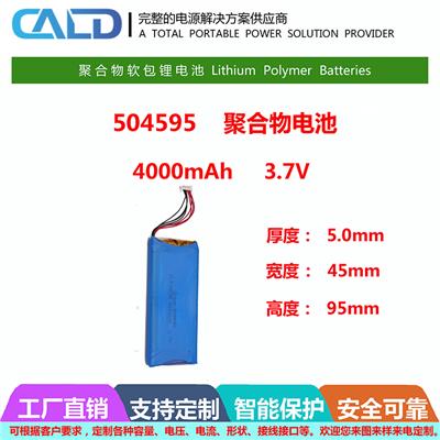 LDPH-LFB-AA-2900-1.5尖头单体数码电池报价 手电筒电池