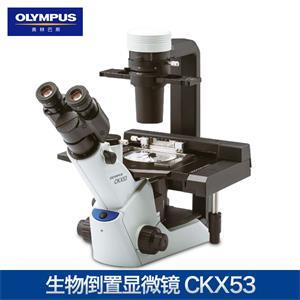 奧林巴斯CKX53倒置生物顯微鏡