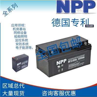 耐普免维护蓄电池 12v65h适用于UPS/EPS/直流屏计算机不间断电源
