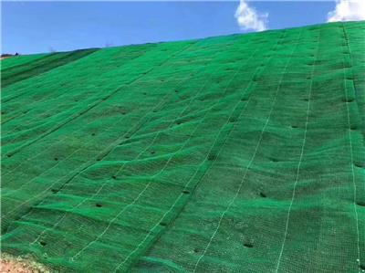 三维土工网垫三维植被网土工网护坡网植草网河道防护网EM5五层