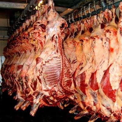 宁波冷冻猪肉进口报关代理-进口冻猪肉通关