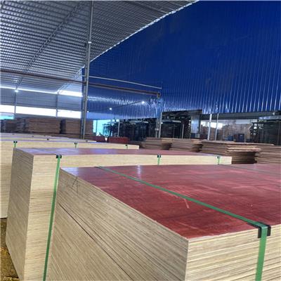 杭州建筑模板厂 桉木模板