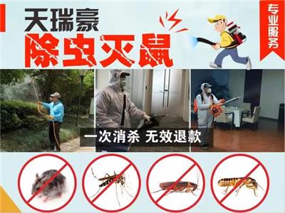 广安火光村灭蚊蝇 免费咨询