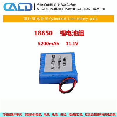 LDPH-ICR18650-5200-11.1联动新能源锂电池组 型号全 容量大