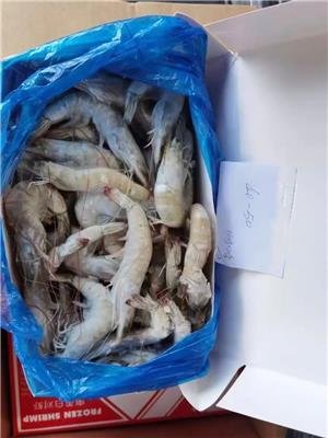 厄瓜多尔凡纳对虾进口清关代理公司 17年冻品报关经验
