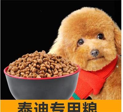 宠物食品进口商检|上海宠物食品进口海运物流|免费咨询