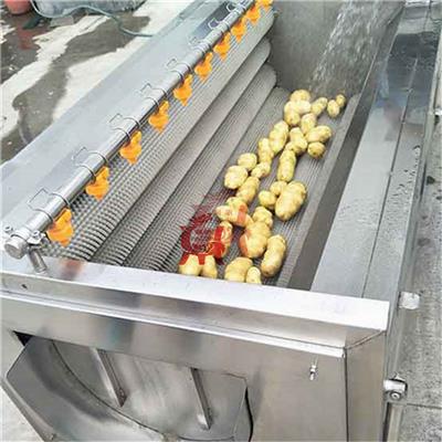 润鼎食品机械生产加工土豆清洗机