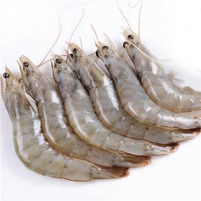 珠海港冷冻白对虾进口清关核酸消毒机构 专注冷冻海鲜进口