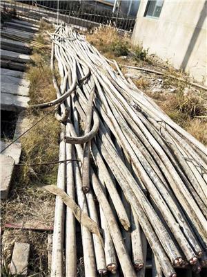 滨州电缆回收|滨州光伏电缆回收精选厂家