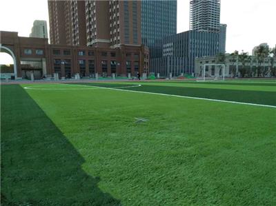 河北人工草坪 足球场人工草坪 绿化人造草坪