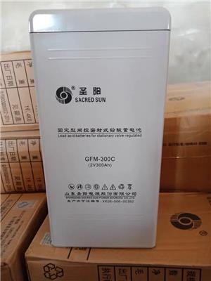 漳州圣阳蓄电池SP12-80