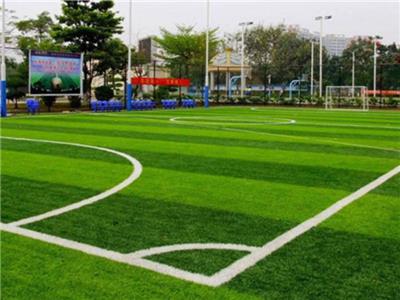 学校操场施工 足球场人造草坪