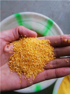 安徽阜阳 小型玉米脱皮制糁机 玉米拉糁机 农村家用玉米打糁机