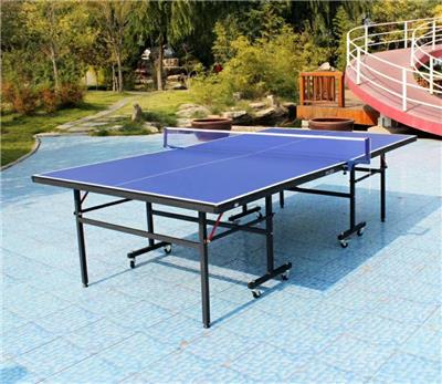 新国标乒乓球台厂家 各种训练器材批发定制