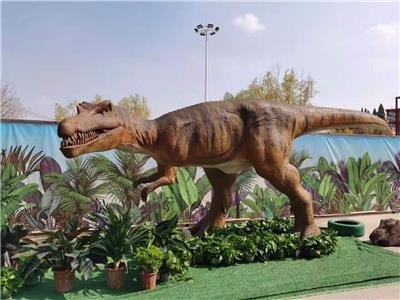 恐龙展 拉萨恐龙模型批发 欢迎致电