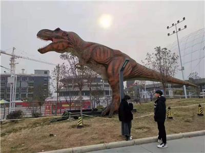 武汉恐龙模型厂家 恐龙道具 欢迎致电