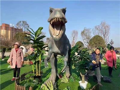 杭州恐龙模型批发 恐龙展 涛涛文化传媒