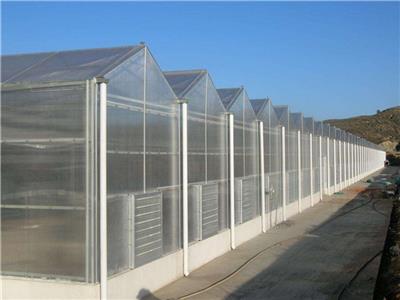 河南温室大棚建设之阳光板温室