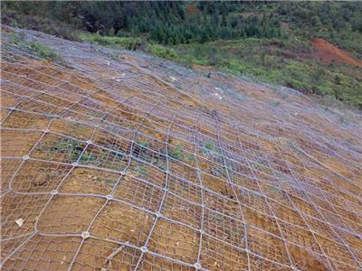 郑州石笼网 防护边坡网