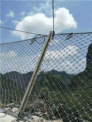 高边坡防护网厂 边坡护坡网