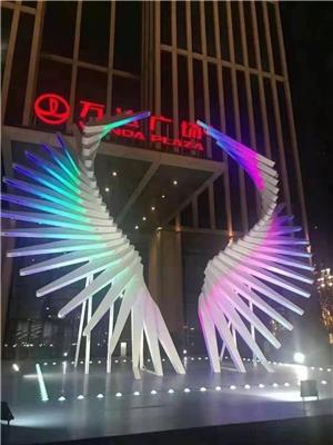杭州多彩发光翅膀 LED灯光