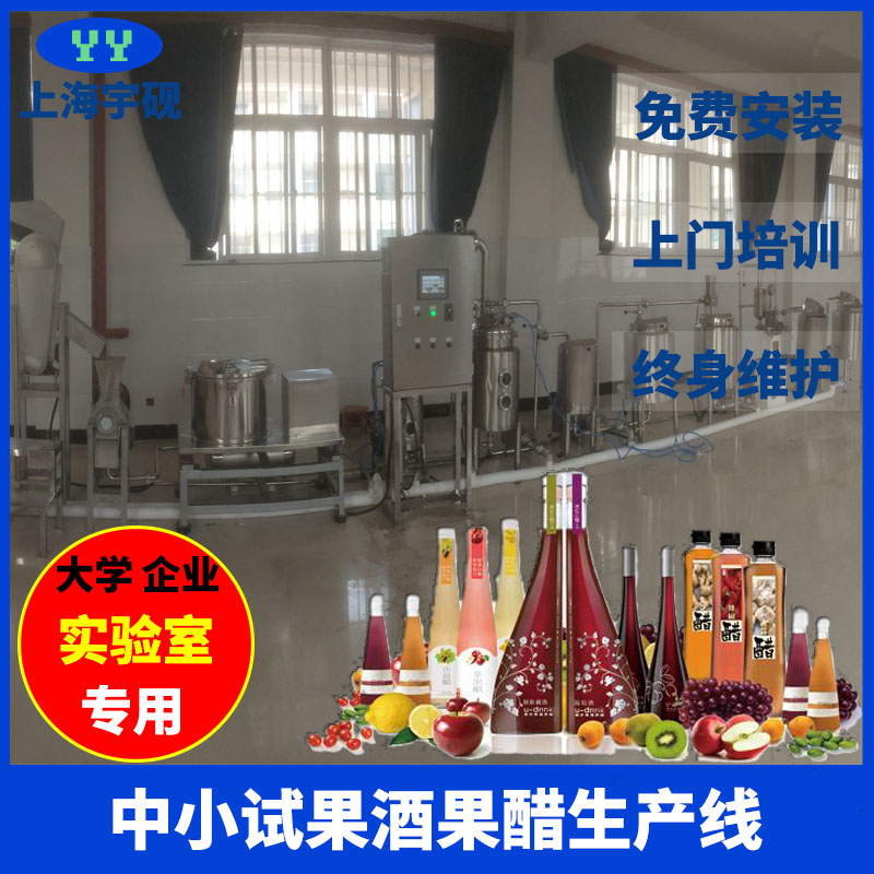 中小型葡萄酒发酵 调配果酒生产线