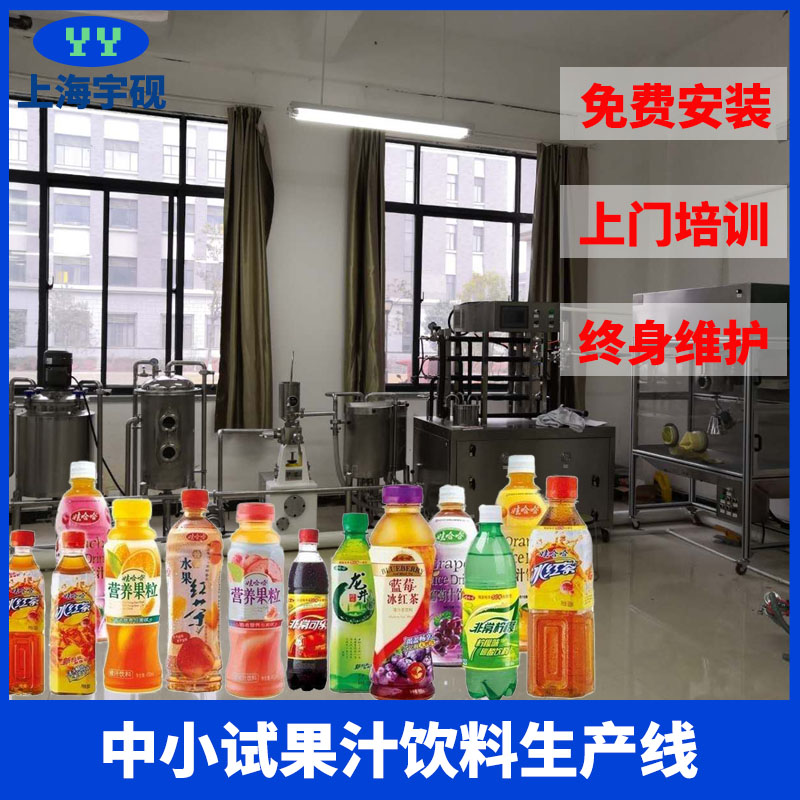 全自动果汁生产线 塑料瓶果蔬果汁生产线 石榴汁果汁饮料生产线设备