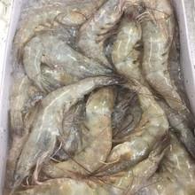 宁波进口虾动植物检验检疫许可证