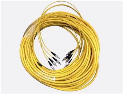 分支光缆FC/LC/SC/ST2芯4芯8芯12芯24芯电信级多芯室内束状尾纤5G机房布线